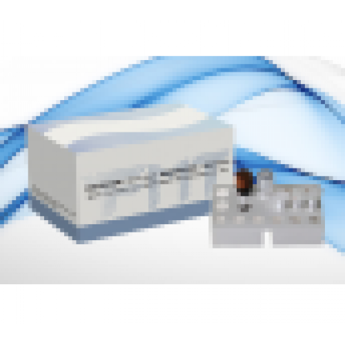 Novel Coronavirus (2019-nCoV) RT-PCR Detection Kit